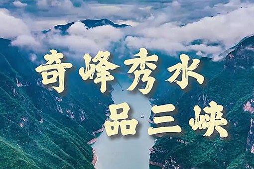 正文适合核对表述