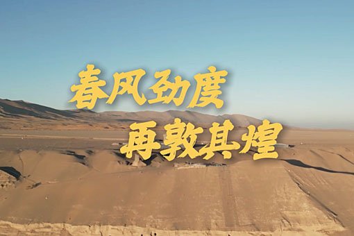 本站按公开材料组织页面